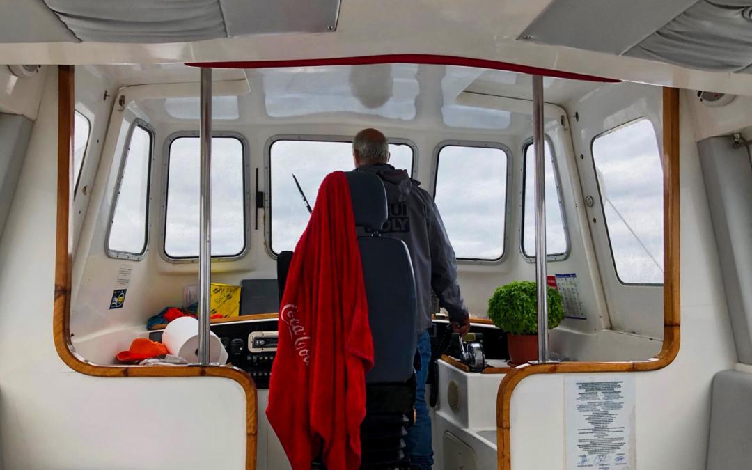 Captain of the Water Taxi
