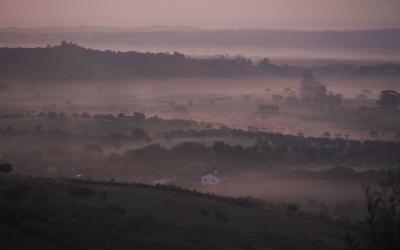 Early AM in the Alentejo