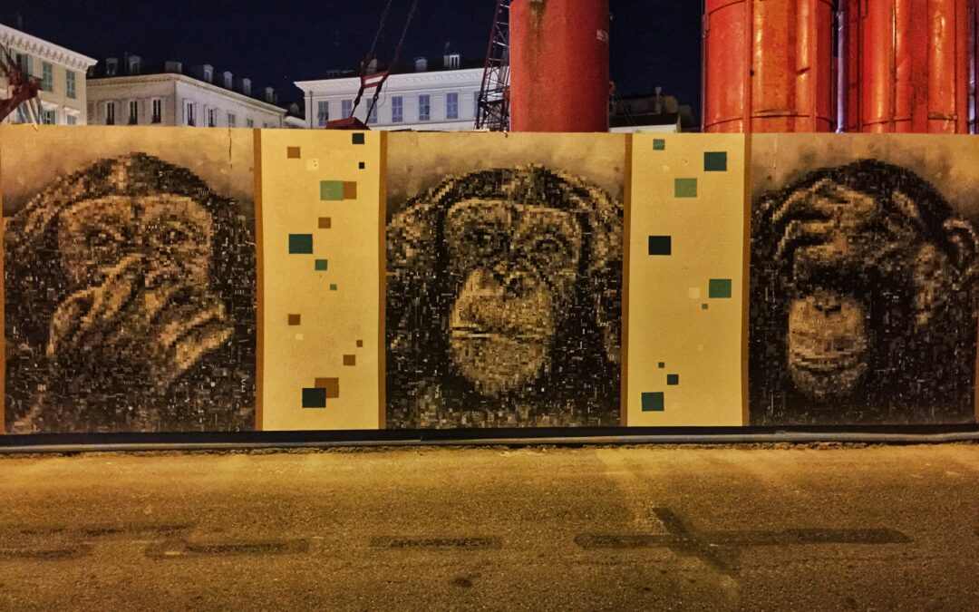Monkeys 2015