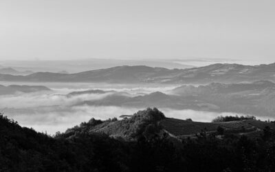 Morning in Asti